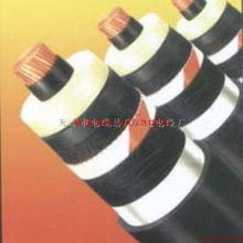 天津電纜廠(chǎng)2×2.5、5×4、5×16電力電纜產(chǎn)品資料詳解